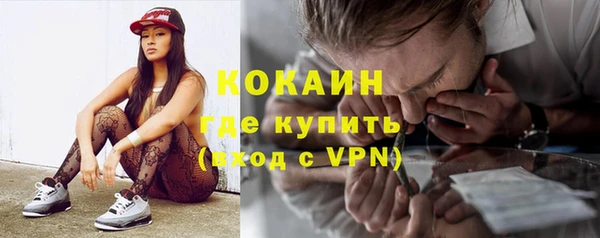 хмурый Арсеньев