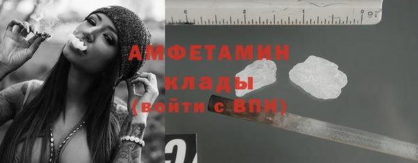 гидра Гусь-Хрустальный