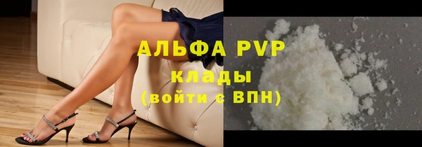 амф Гусиноозёрск