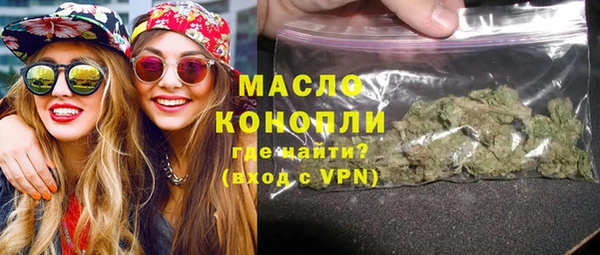 гидра Гусь-Хрустальный