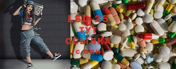 индика Аркадак
