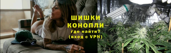 индика Аркадак