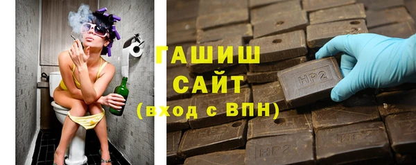 хмурый Арсеньев