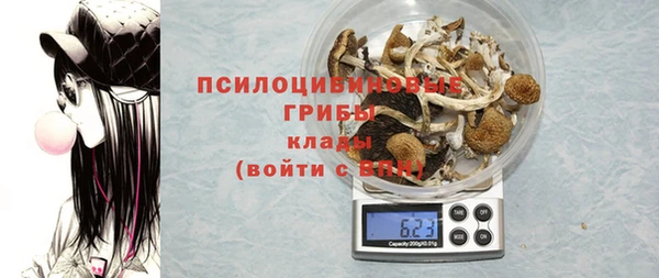 молекула духа Гусев