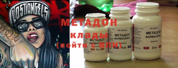 индика Аркадак